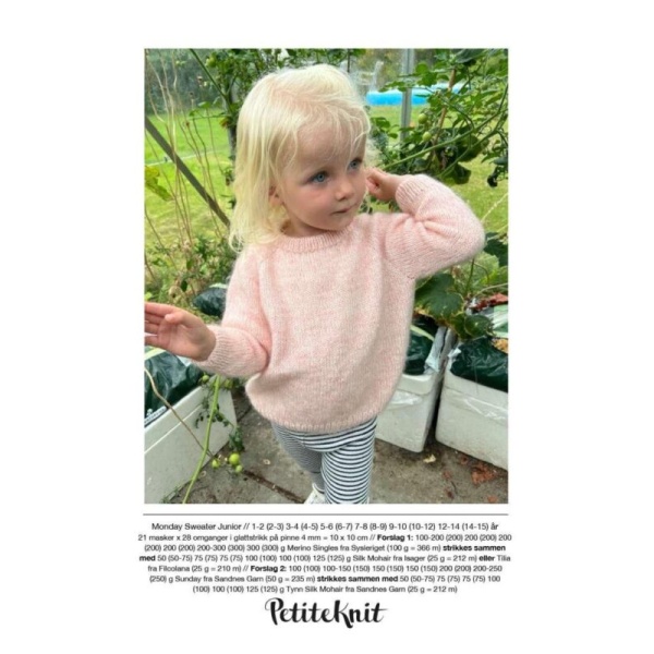 Monday sweater junior